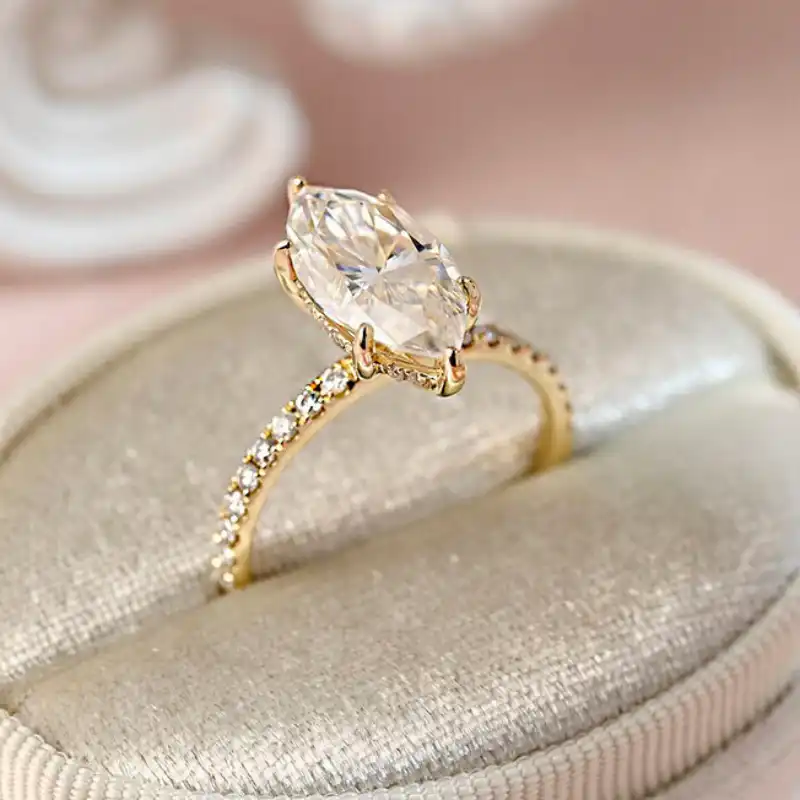 /public/photos/live/111 (1).webp